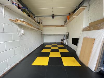 Picture 11